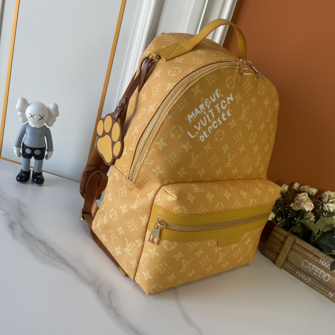 LOUIS VUITTON DISCOVERY バックパック